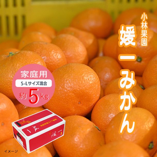 みかん 愛媛県産「媛一みかん 家庭用 S～Lサイズ混合」約5kgのお得通販