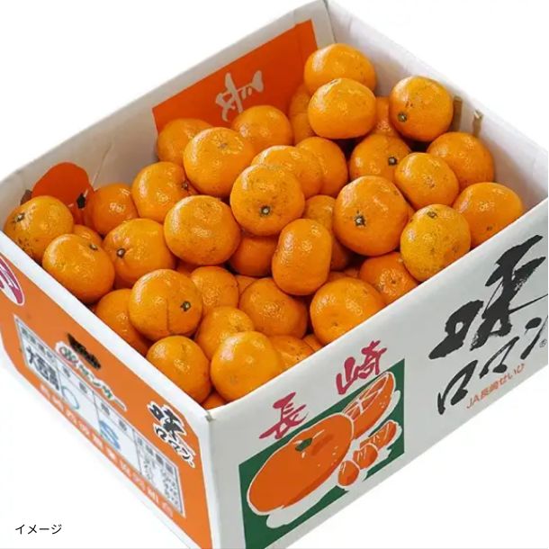 長崎県産「高糖度みかん 味ロマン 糖度12度以上 お試し」2kgのお得通販