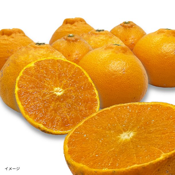 愛媛県産「訳あり せとか」5kgのお得通販｜Kuradashi(クラダシ)で