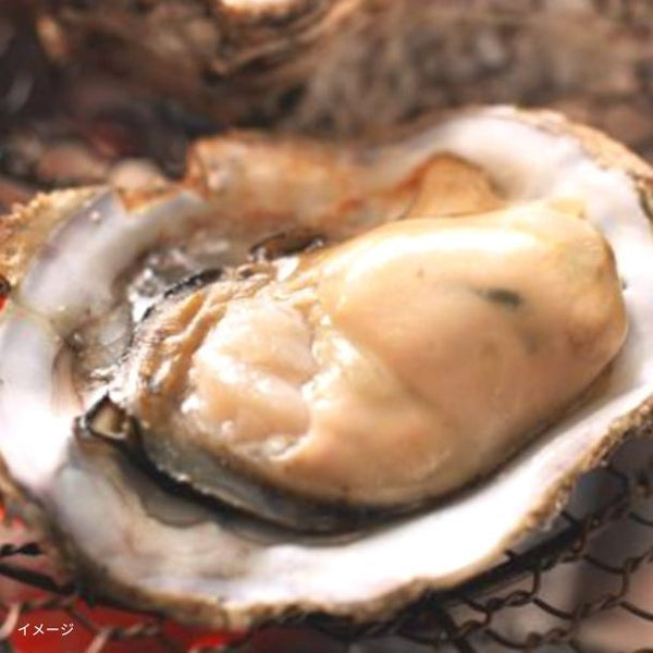 Kuradashi限定「冬の豪華海鮮福袋 計7品」
