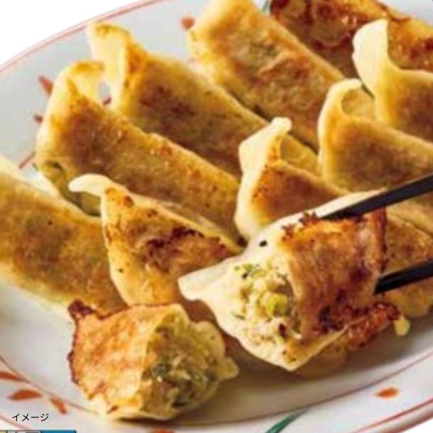 亮昌監修 京の恵みを包んだ和ぎょうざ（10個入り）」のお得通販