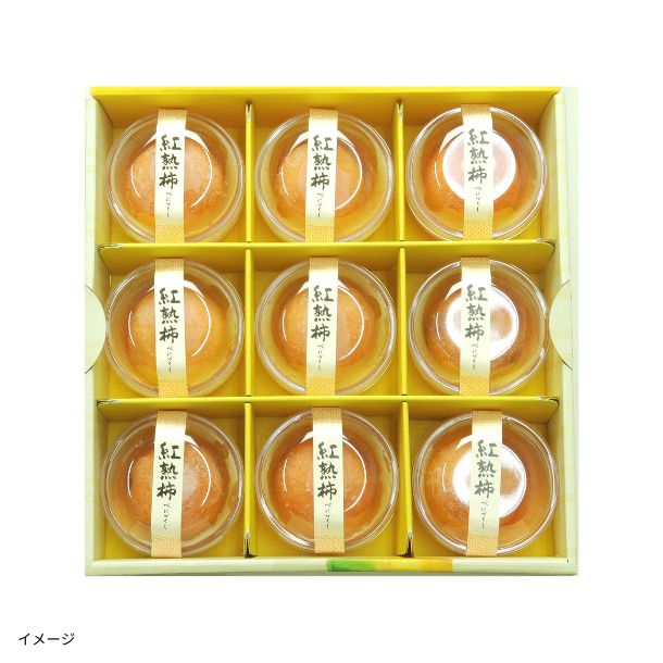 ネスカフェ「ゴールドブレンド オリジン ホンジュラスブレンド」65gの