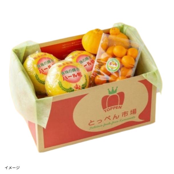 熊本県産「みかんの玉手箱 3種類詰合せ」のお得通販｜Kuradashi