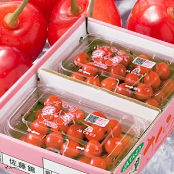山形県産「訳ありさくらんぼ 品種おまかせ」約180gのお得通販