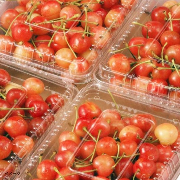 食いしん坊リス☆さくらんぼ 山形県産「訳ありさくらんぼ 品種おまかせ」約300gのお得通販
