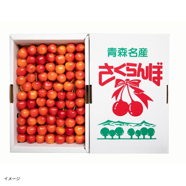 佐藤錦「さくらんぼ」200gのお得通販｜Kuradashi(クラダシ)で
