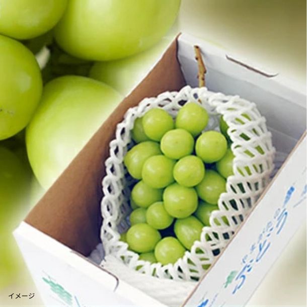 山形県産「秀品 シャインマスカット（1房）」約600gのお得通販