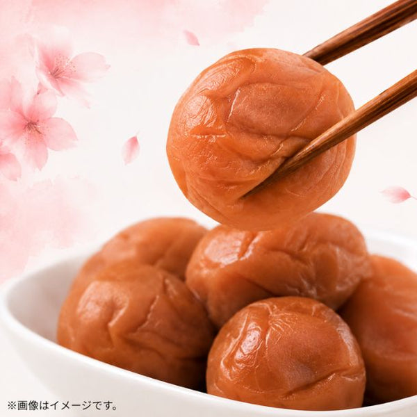 「しそ漬け梅干 L」