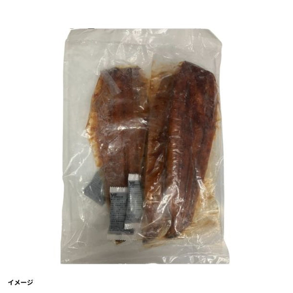 「鹿児島県産 うなぎ蒲焼 特大サイズ」