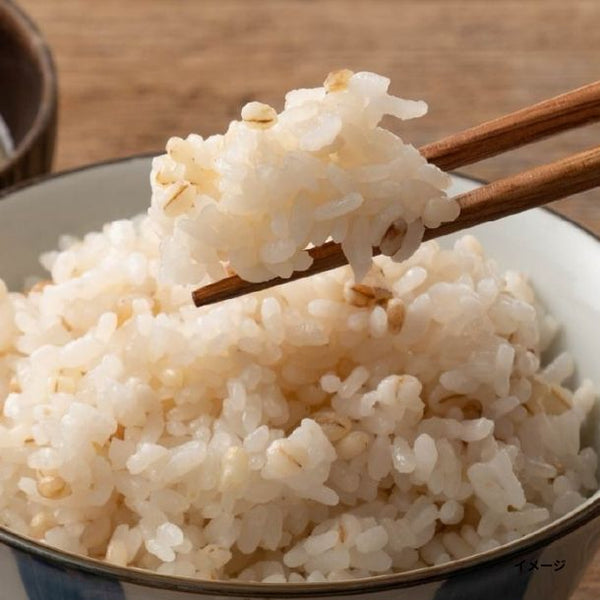 国産「雑穀米 麦5種ブレンド（丸麦／押麦／はだか麦／もち麦／はと麦）」
