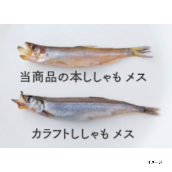 「本ししゃも メス」