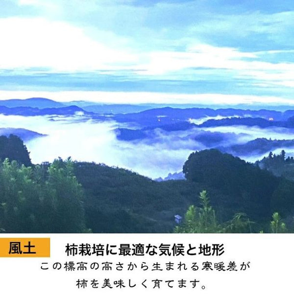 奈良県産「刀根早生（サイズ混合 15～20玉）ご家庭用箱入り」
