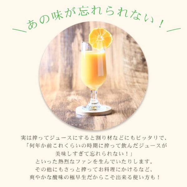 愛媛県産「ちび玉極早生みかん 家庭用・小玉」