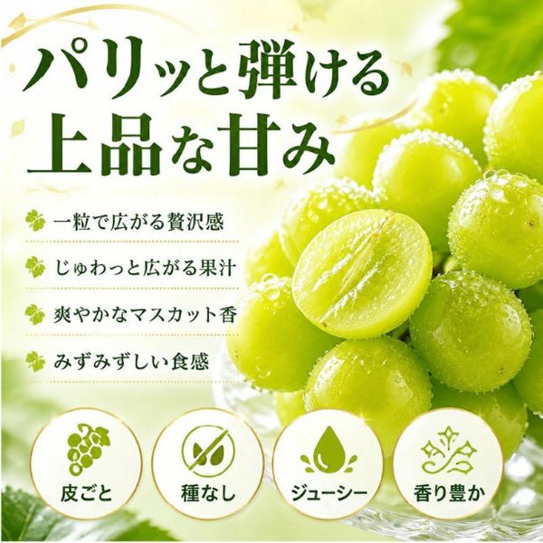 「産地ランダム シャインマスカット 4-5房」