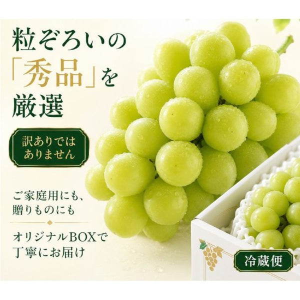 「産地ランダム シャインマスカット 4-5房」