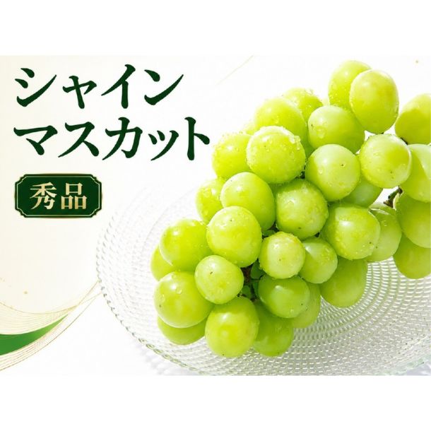 産地ランダム シャインマスカット 4-5房」のお得通販｜Kuradashi