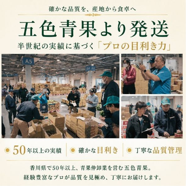 「産地ランダム シャインマスカット 4-5房」