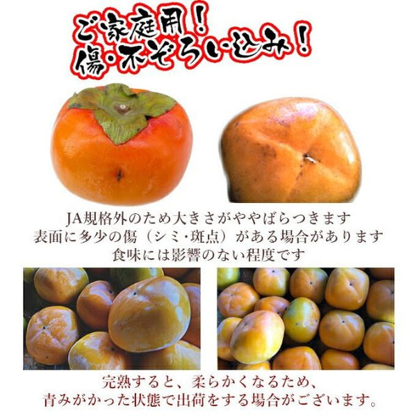 愛媛県産「訳あり 柿 品種おまかせ 家庭用」