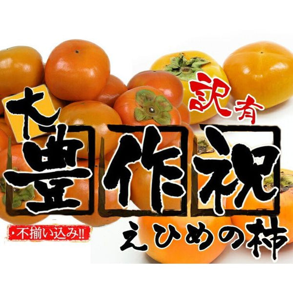 愛媛県産「訳あり 柿 品種おまかせ 家庭用」