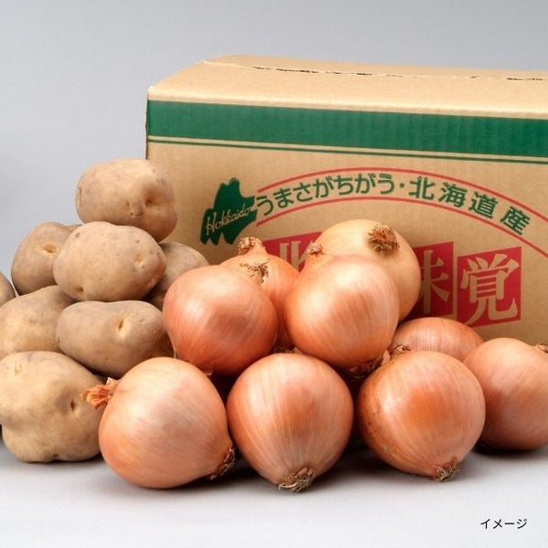 北海道産「野菜2点セット」