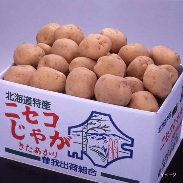 北海道ニセコ産「北あかり」