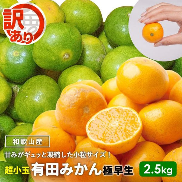 和歌山県産「訳あり 極早生有田みかん キズあり・超小玉（3S以下中心）」