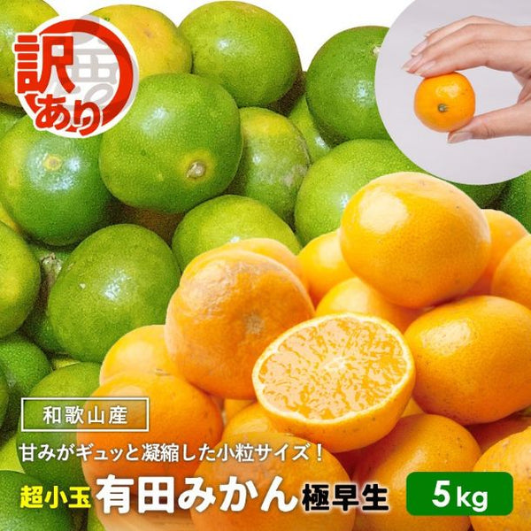 和歌山県産「訳あり 極早生有田みかん キズあり・超小玉（3S以下中心）」
