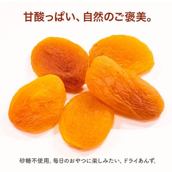 「砂糖不使用 ドライアプリコット 種抜き」