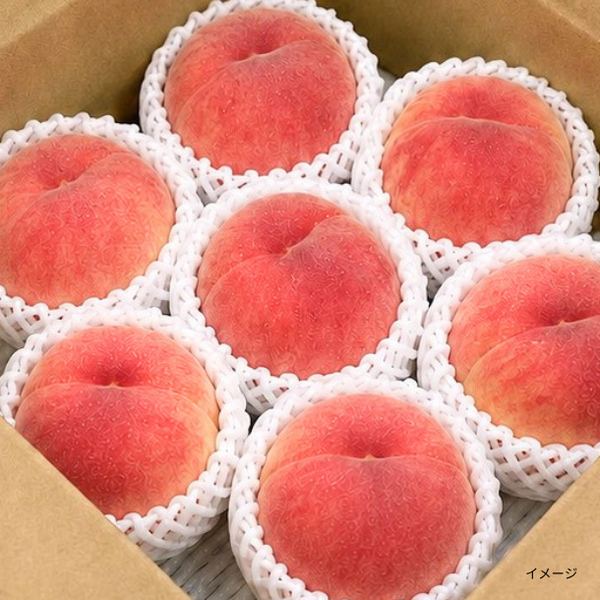 山形県産「川中島白桃（秀品）」
