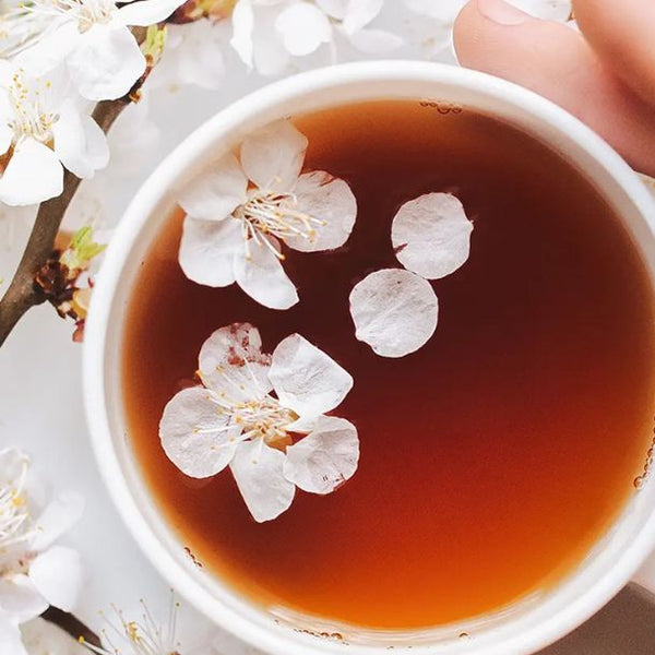 「FURUITEA SAKURA 家庭用（箱無し）」