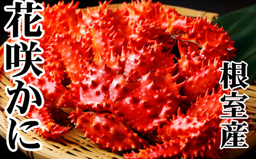 北海道根室産「脚折れ 花咲ガニ」約1.2kg（2～4尾）のお得通販