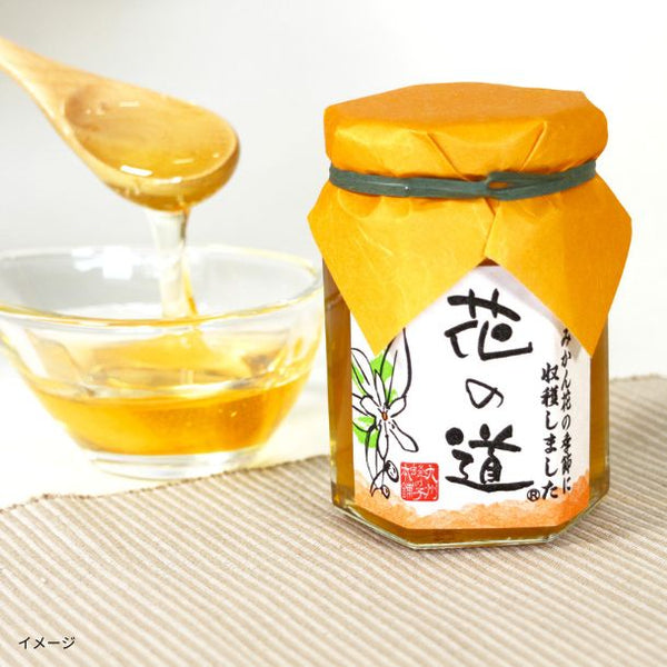 国産「はちみつ3種セットB」
