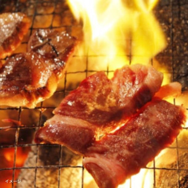 ウルグアイ産「ハンキングテンダー（ハラミ）」