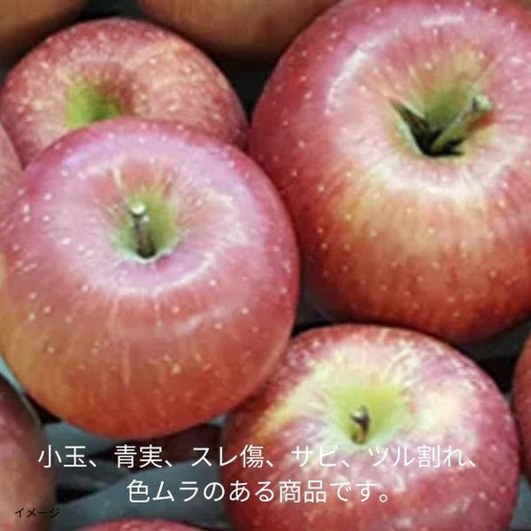 青森県産「旬のりんご福箱（数品種・無選別）」