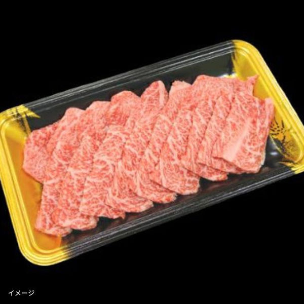 格之進「熟成肉大容量福袋セット」