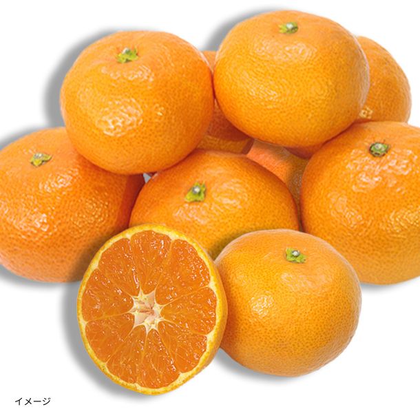 愛媛県産「訳あり 小玉みかん」5kgのお得通販｜Kuradashi(クラダシ)で