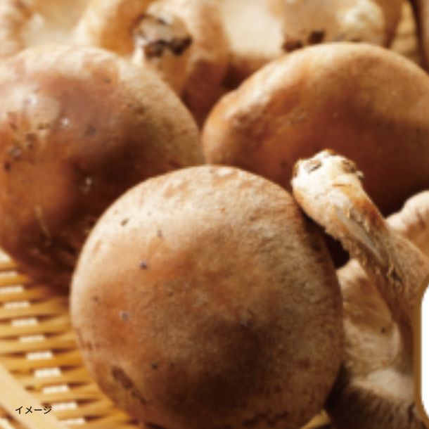 しいたけページ 箱いっぱい 房総しいたけ」のお得通販｜Kuradashi(クラダシ)で