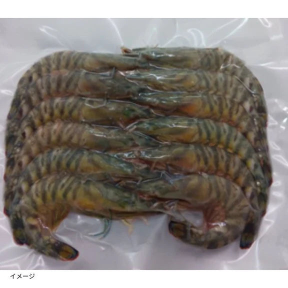鹿児島県産「養殖 活き〆冷凍車海老 バラ10尾」