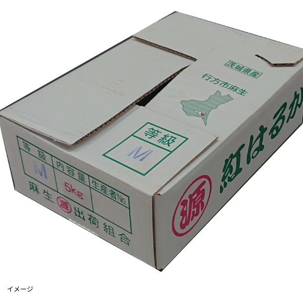 茨城県産「紅はるか 20本前後」約5kgのお得通販｜Kuradashi(クラダシ