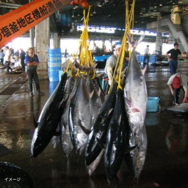 三陸・宮城県産「天然本マグロ形不揃いスライス」