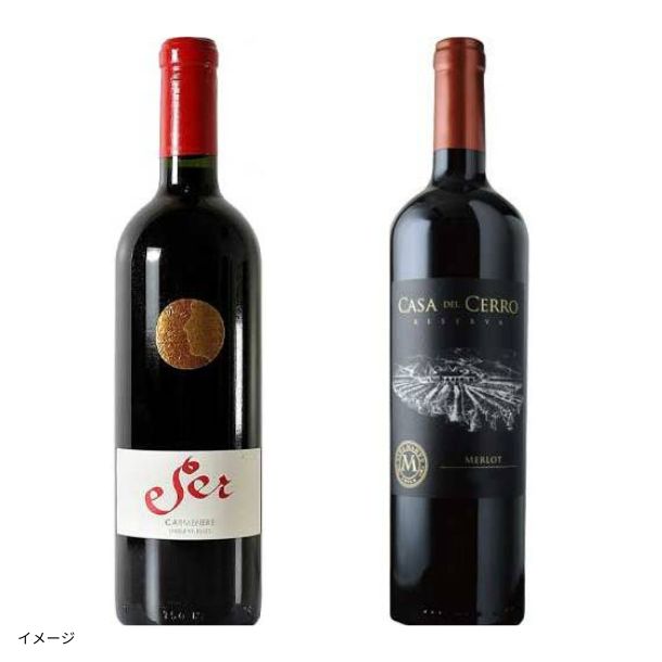 ムートン・オーパス元醸造家が手掛ける！ワンランク上のカルメネールと