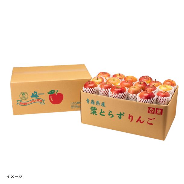 青森県産「葉とらずサンふじ 無選別（大中小込み）」約4.5kgのお得通販