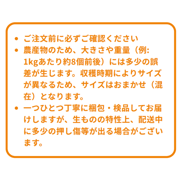 訳あり「グリーンレモン 種なし 璃の香 防腐剤・ワックス不使用」