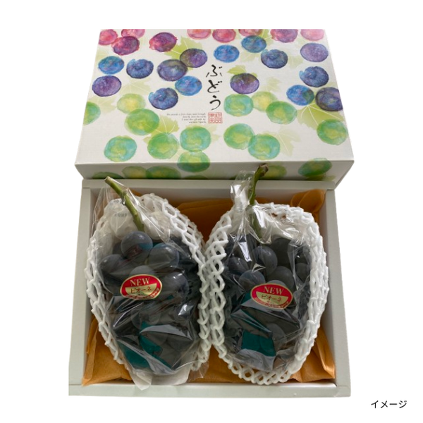 岡山県産「ピオーネ」