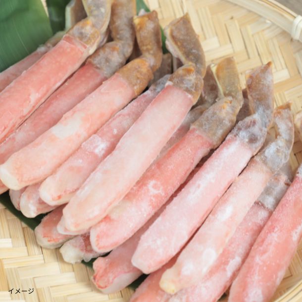 【Kuradashiオリジナル】生ズワイ 棒肉ポーション 500g