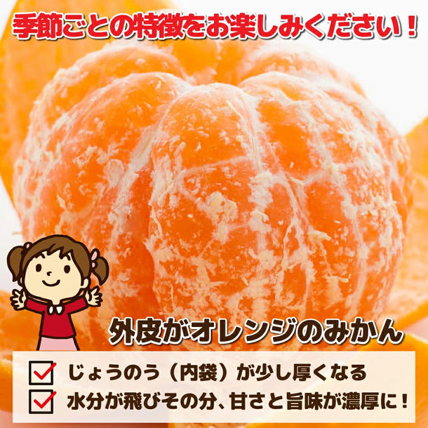 産地おまかせ 特に訳ありみかん ジュース用・加工用」のお得通販