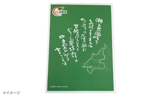 愛媛県産「訳あり 不知火 化粧箱入り」約3kg【クラチャレふるさとだより】