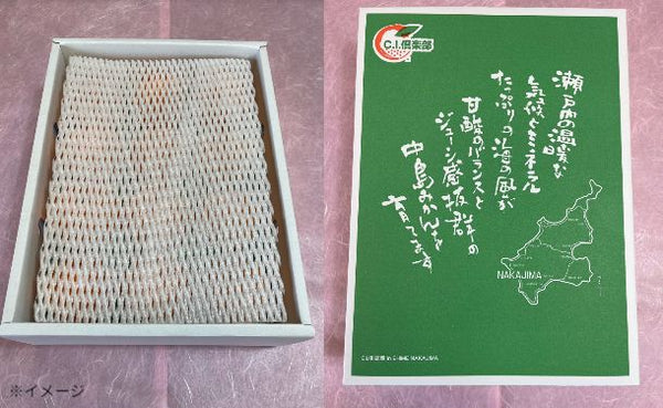 愛媛県産「訳あり 不知火 化粧箱入り」約3kg【クラチャレふるさとだより】
