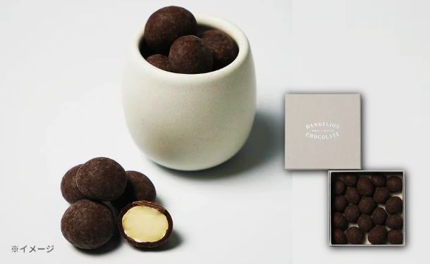 「マカダミアナッツチョコレート」100g×5箱