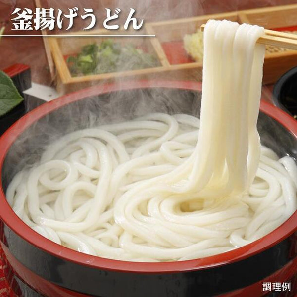 讃岐うどん 「讃岐麺維新お試しセット（つゆ無し）」